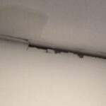 img 20260330 wa0052